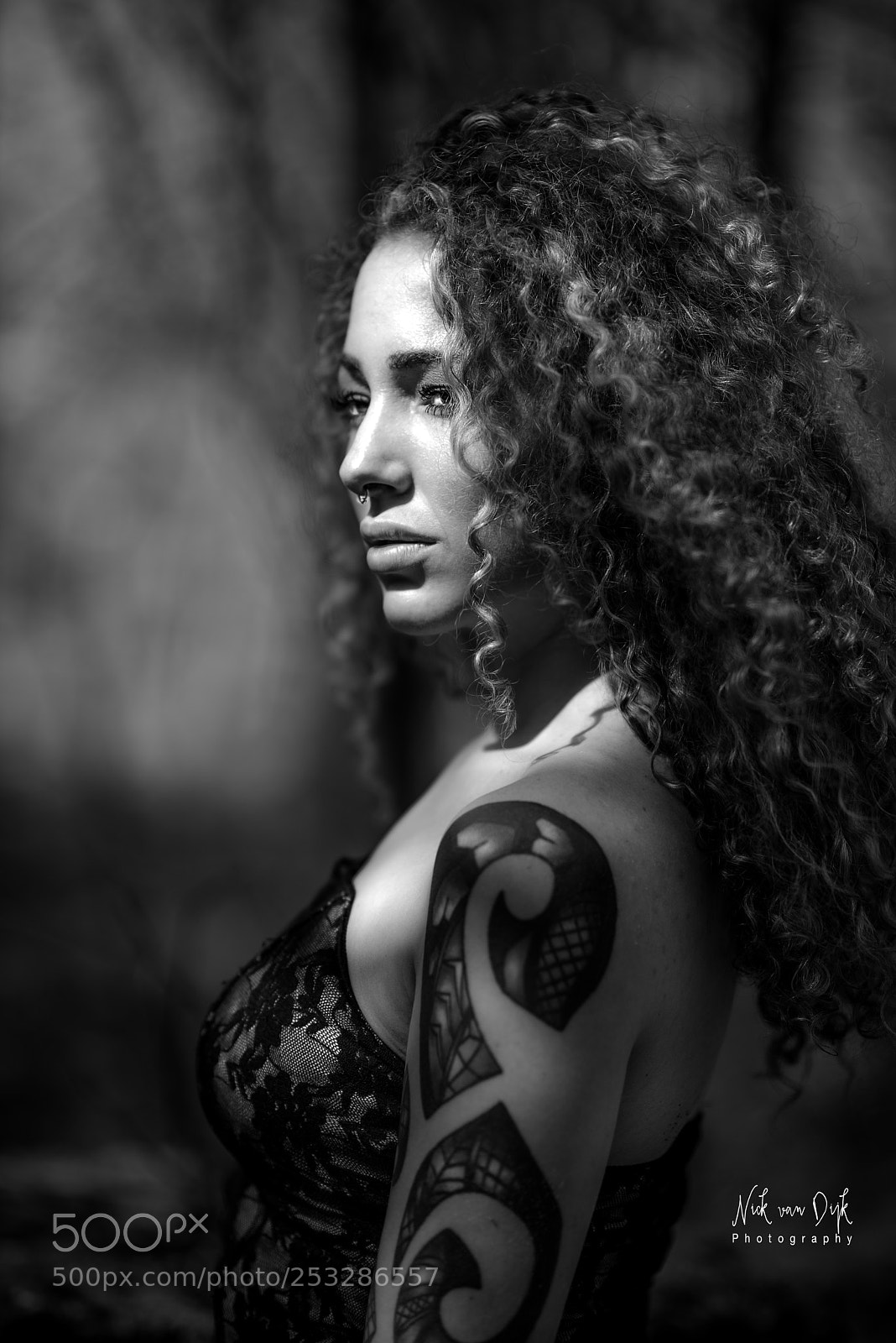 Nikon D800 sample photo. Jasmine ii photography