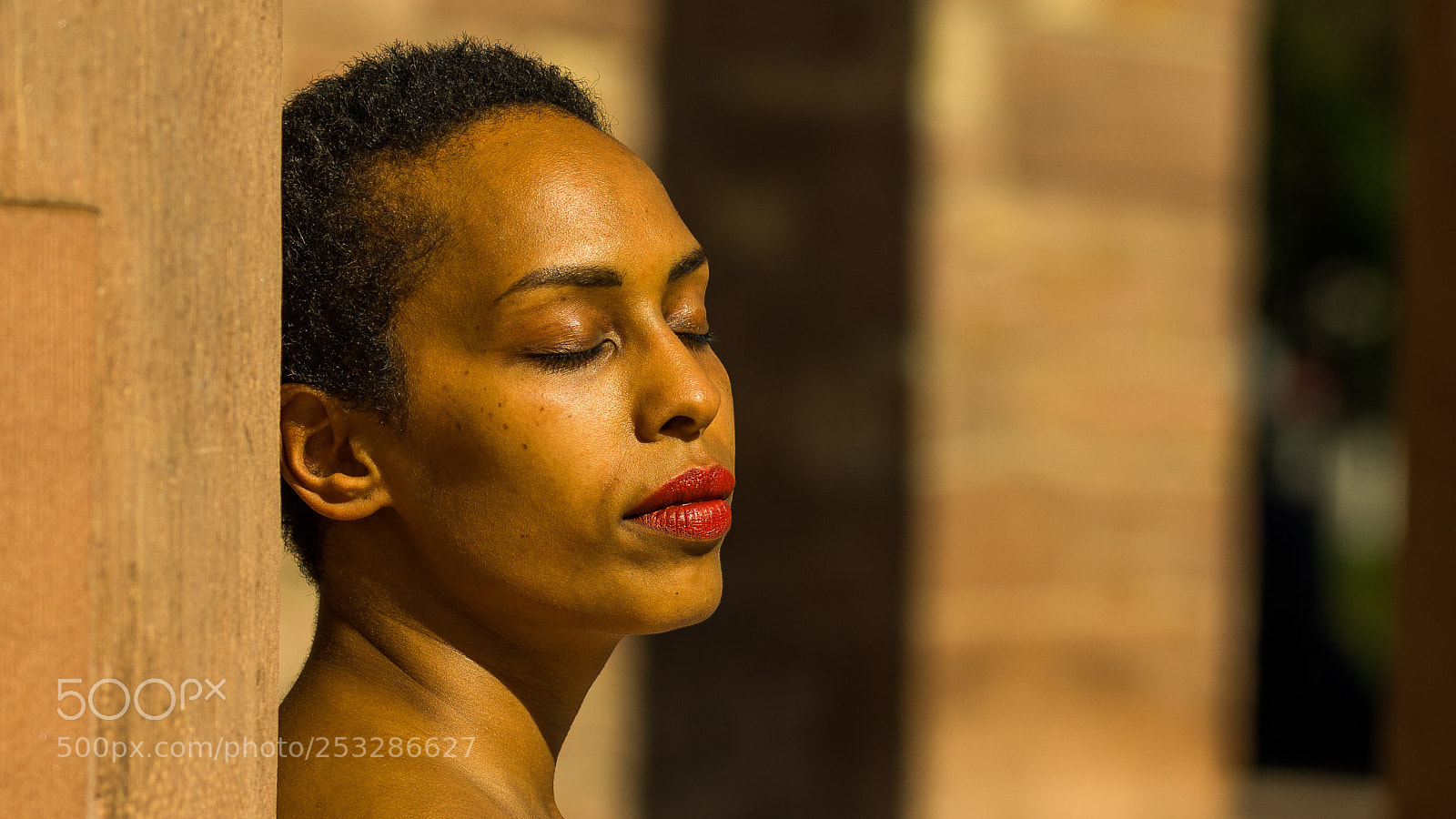 Sony a7R sample photo. Brown and gold photography