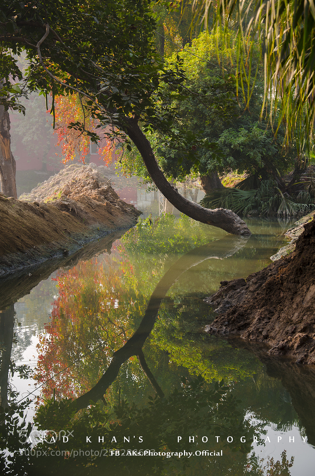 Nikon D7000 sample photo. Game of reflection photography