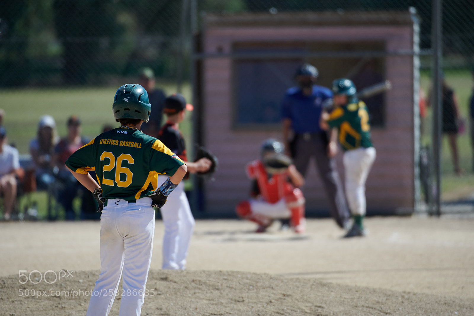 Nikon D850 sample photo. Portfolio photography