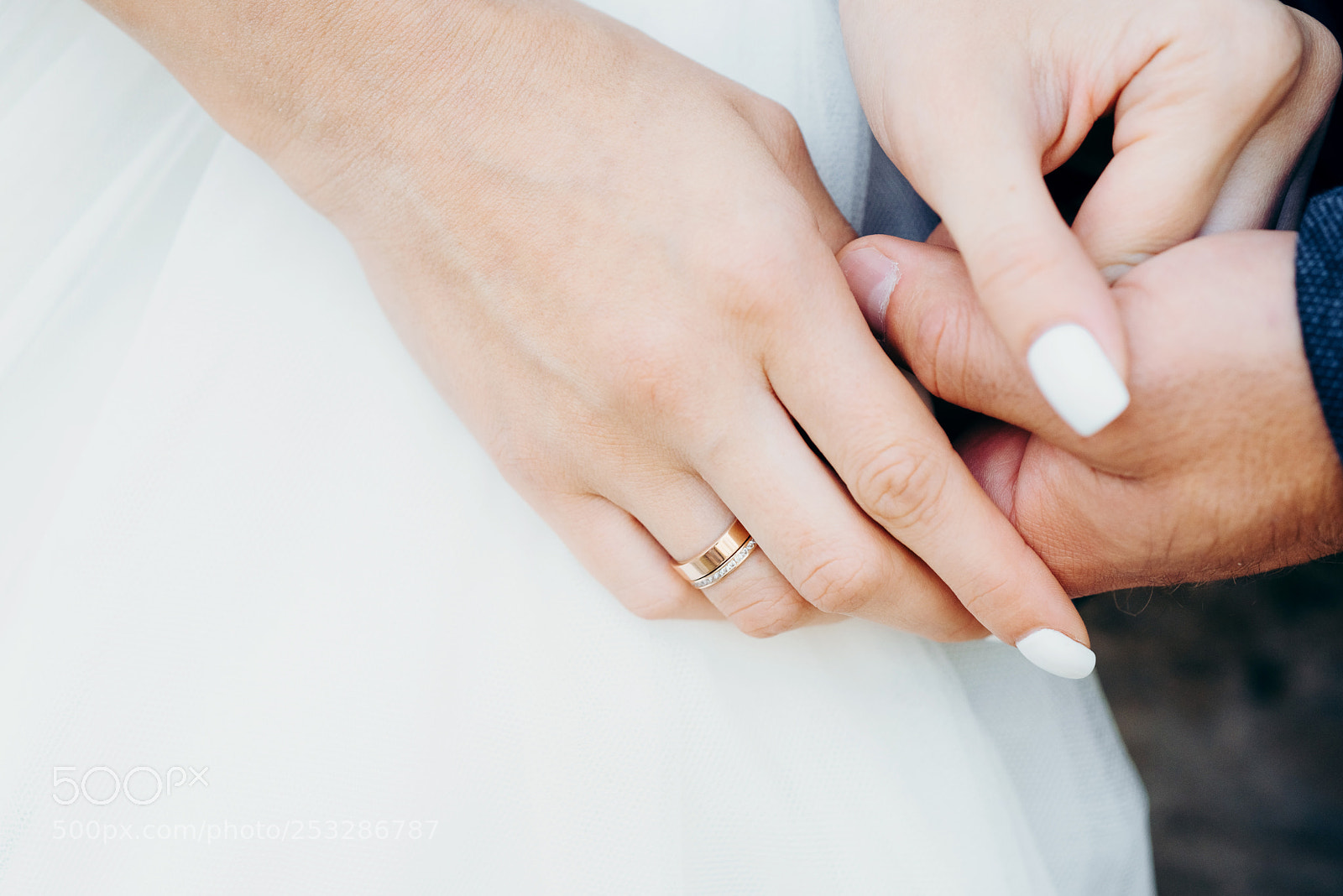 Nikon D800 sample photo. Close-up view of the photography