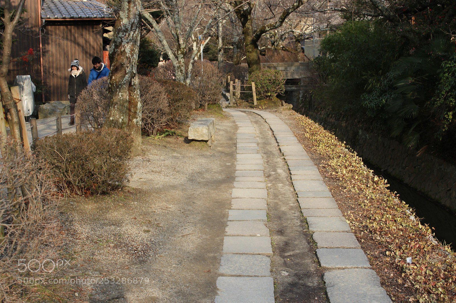 Canon EOS 100D (EOS Rebel SL1 / EOS Kiss X7) sample photo. Img photography