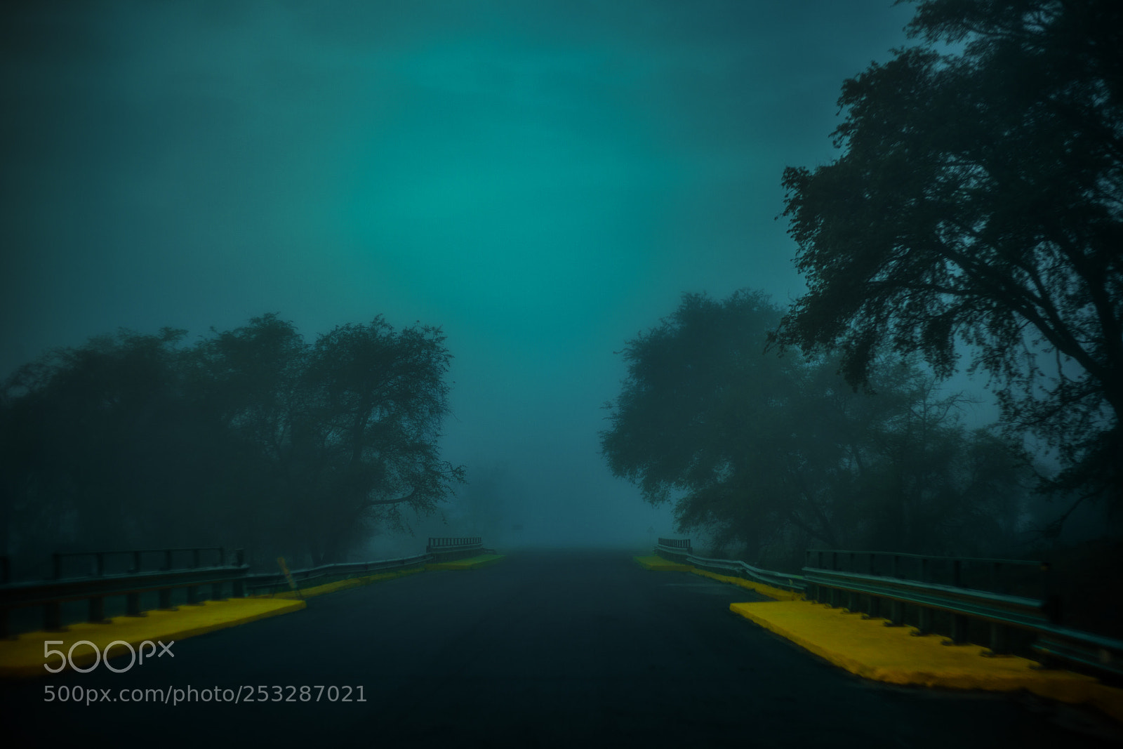 Canon EOS 5D Mark II sample photo. Fog photography