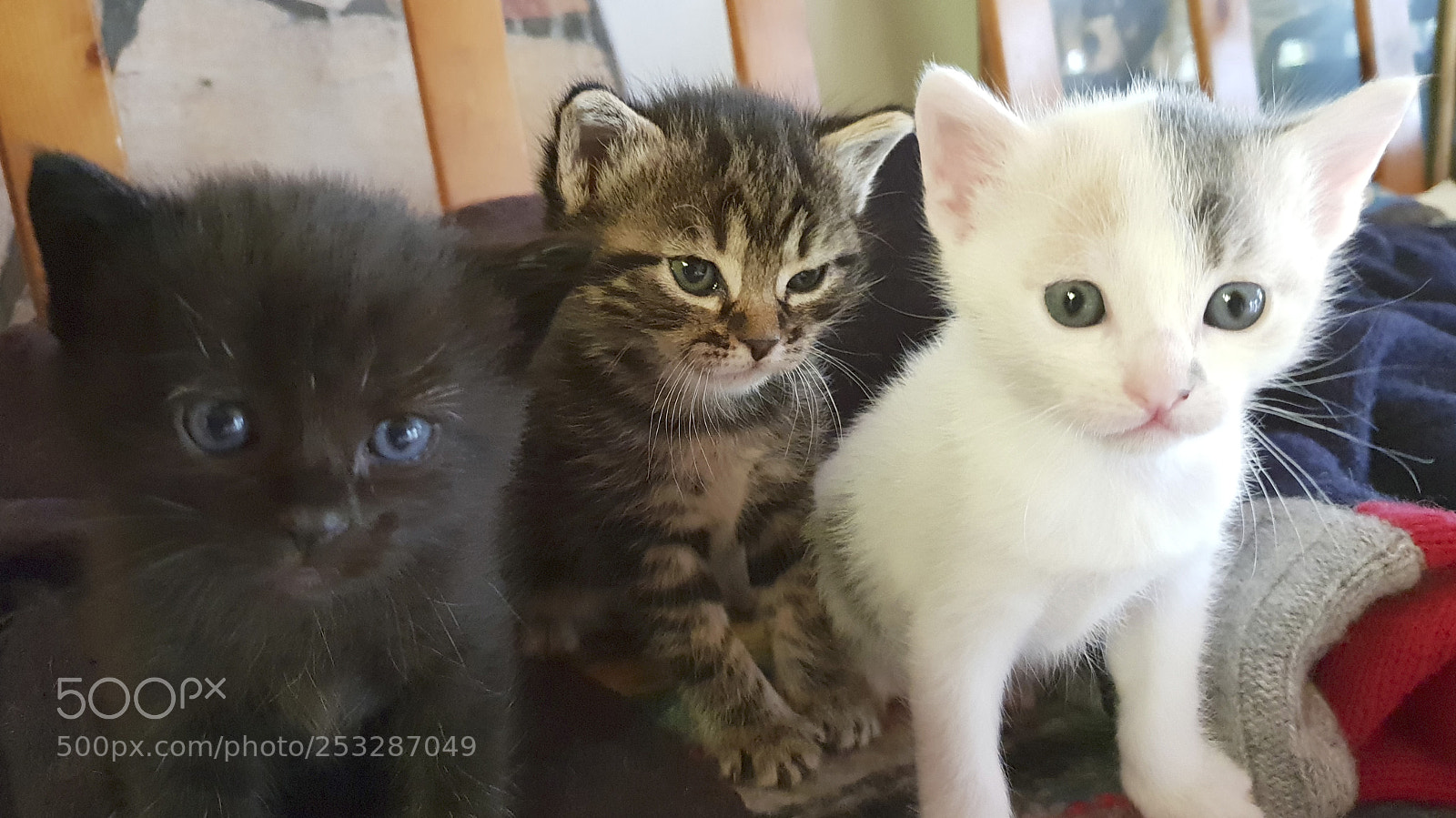 Samsung Galaxy S9+ sample photo. 20180411_150107.jpg photography