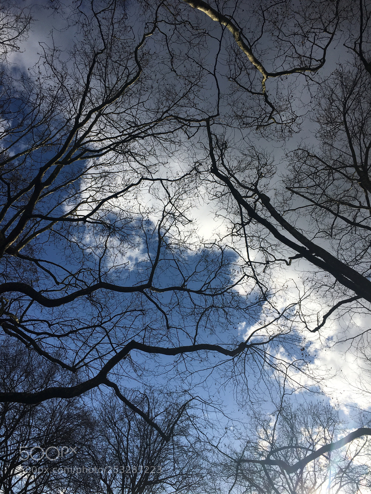 Apple iPhone 6s Plus sample photo. Green park photography