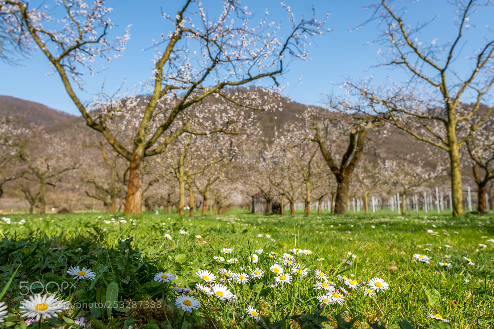 Sony a6500 sample photo. This is the wachau photography