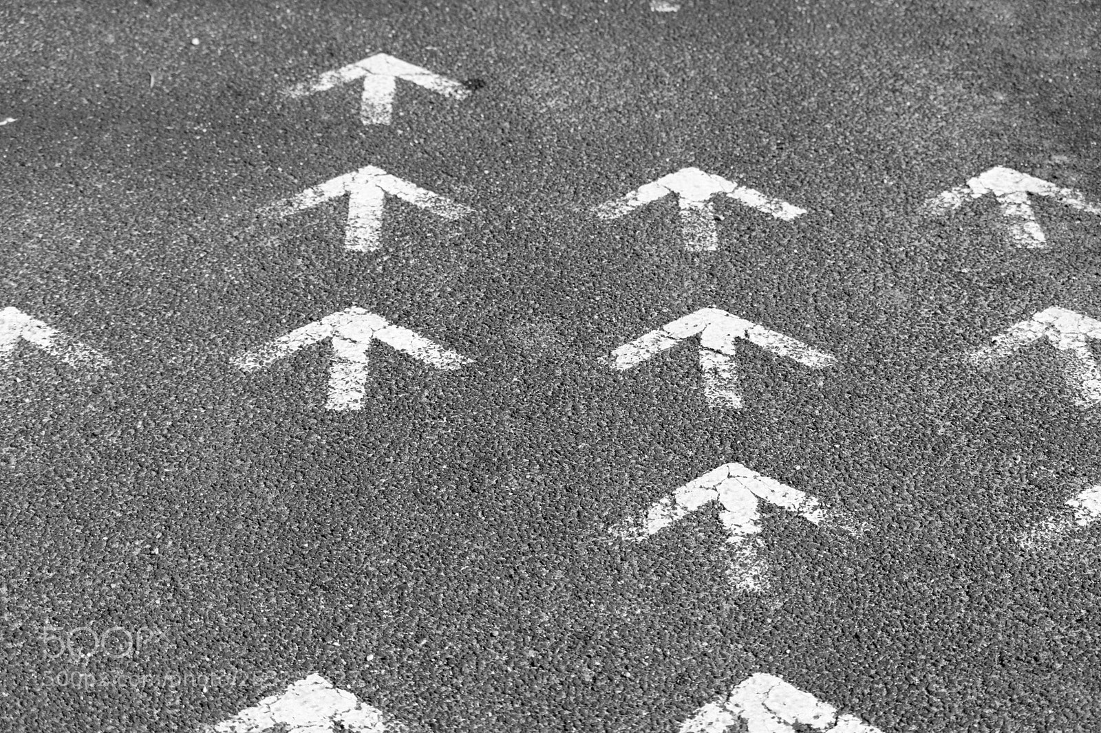 Canon EOS 80D sample photo. White arrow _ b&w photography