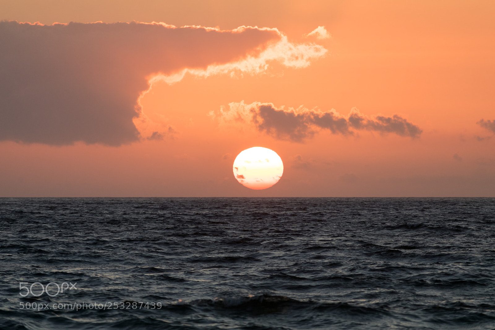 Canon EOS 80D sample photo. Sunset lovers 6 photography