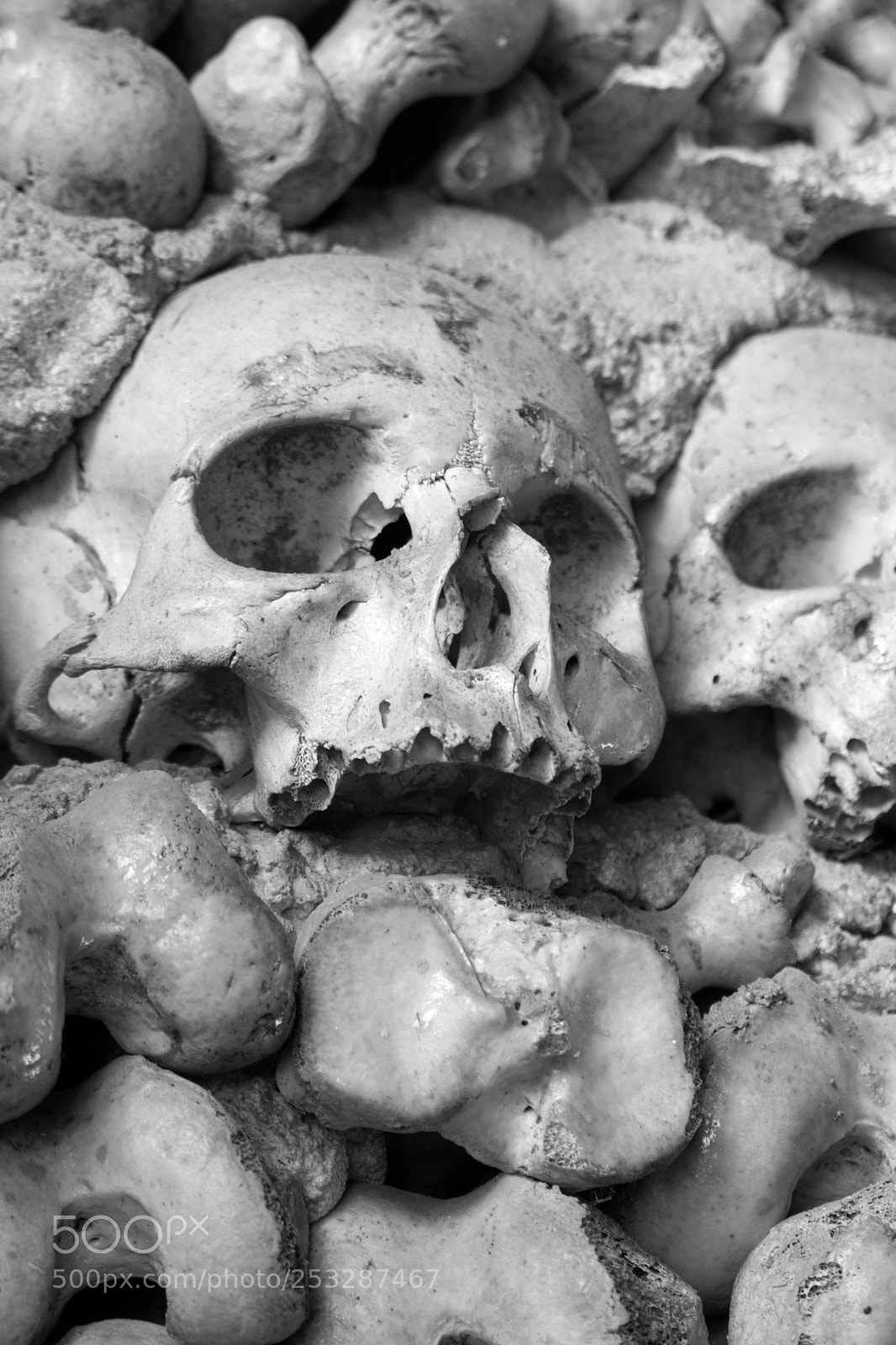 Canon EOS 80D sample photo. Bone chapel _ b&w photography