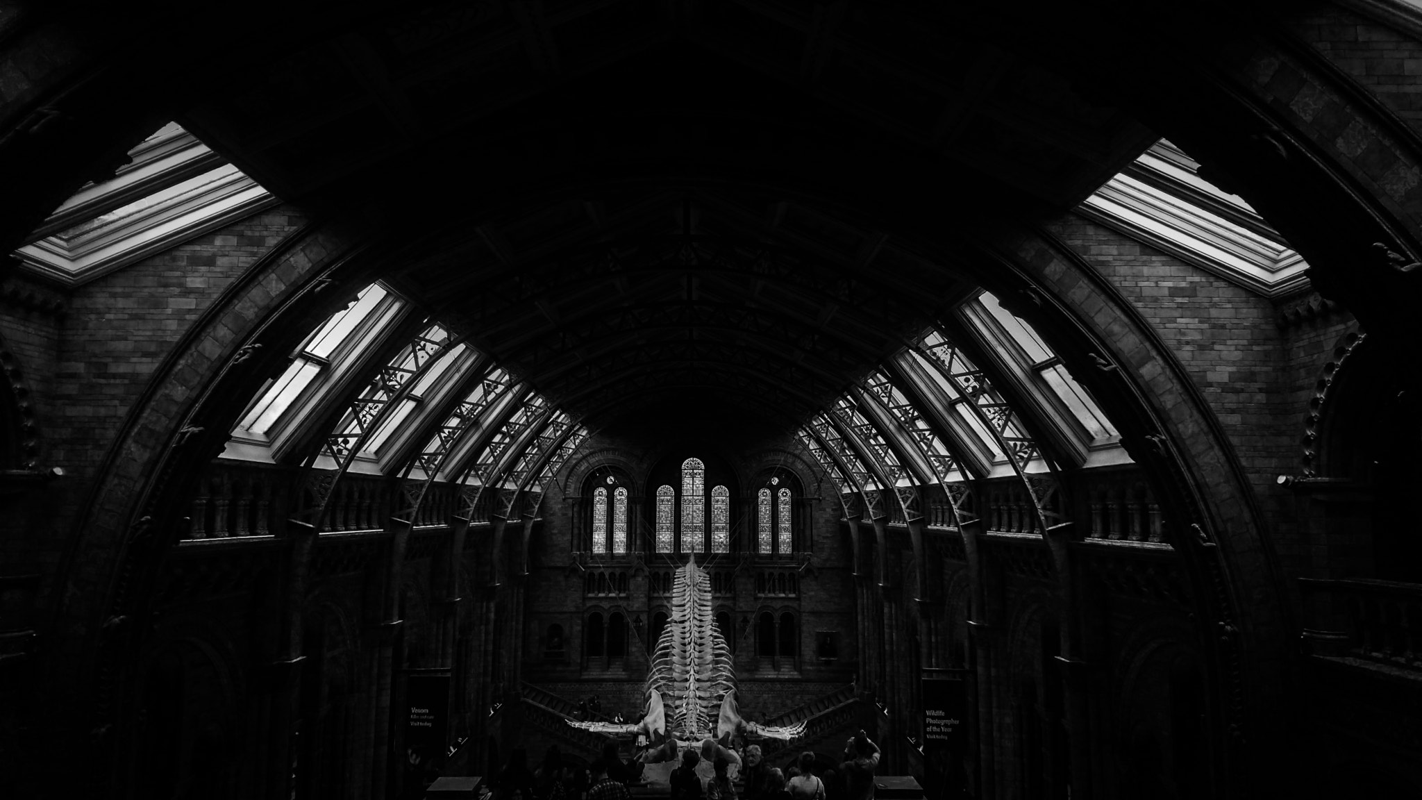 Sony Xperia Z5 sample photo. Natural history museum photography