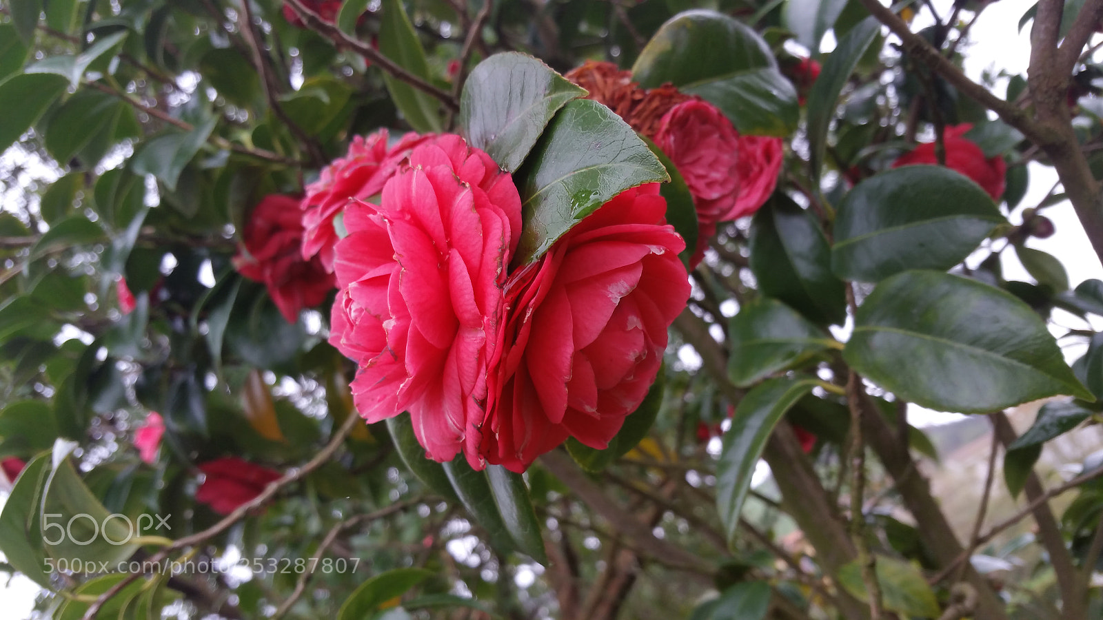 Samsung Galaxy Note4 sample photo. Santander thoughts v.0 photography