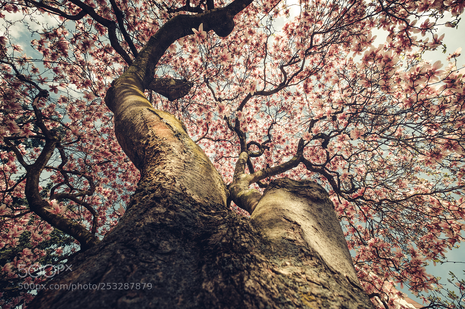 Fujifilm X-T1 sample photo. Http://weinheim.photos photography