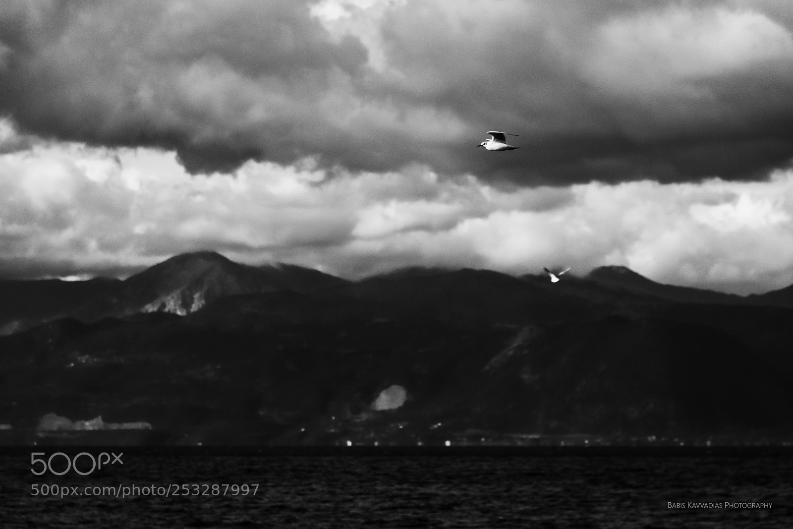 Nikon D7200 sample photo. Seagulls, alyki photography