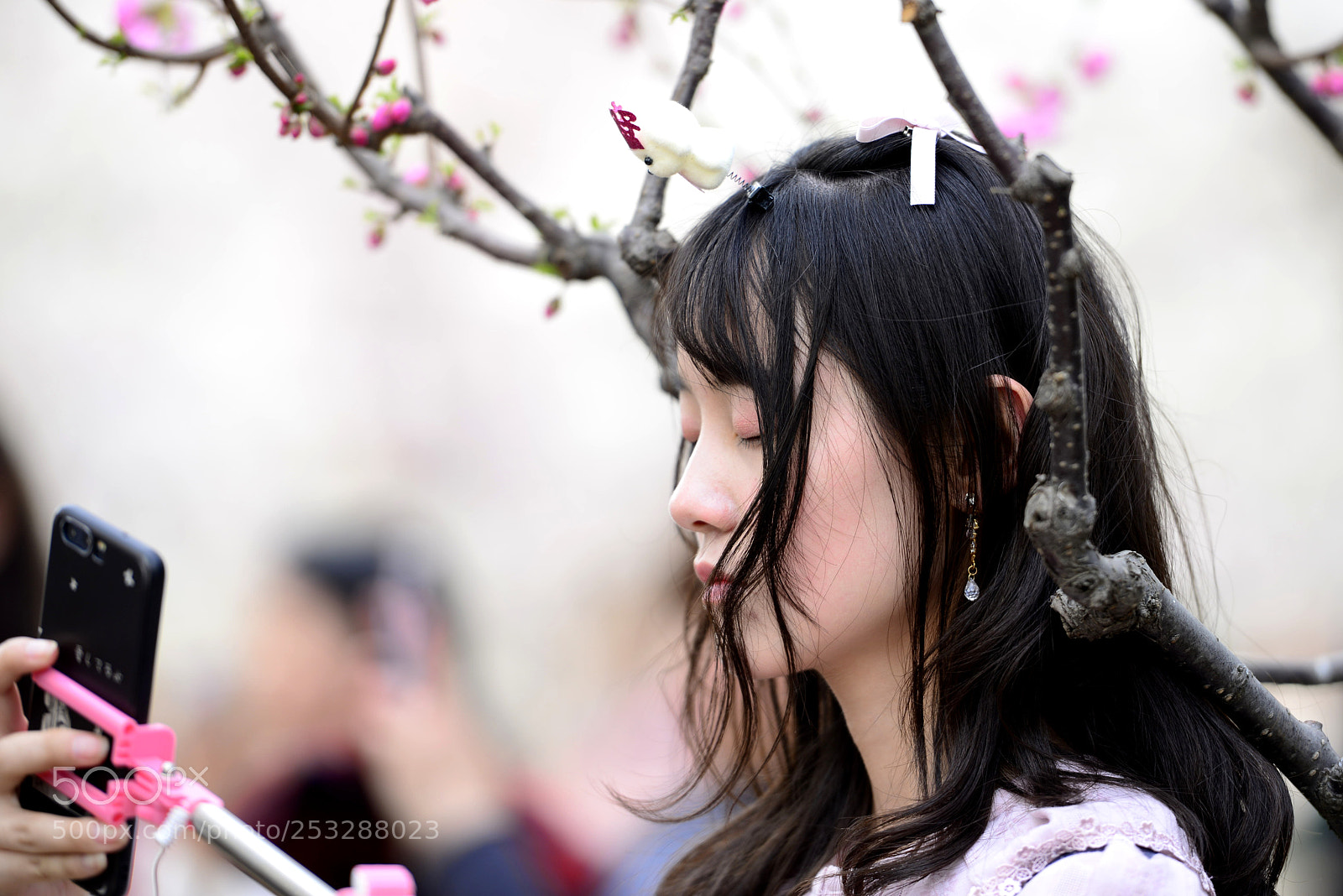 Nikon D800 sample photo. Untitled photography