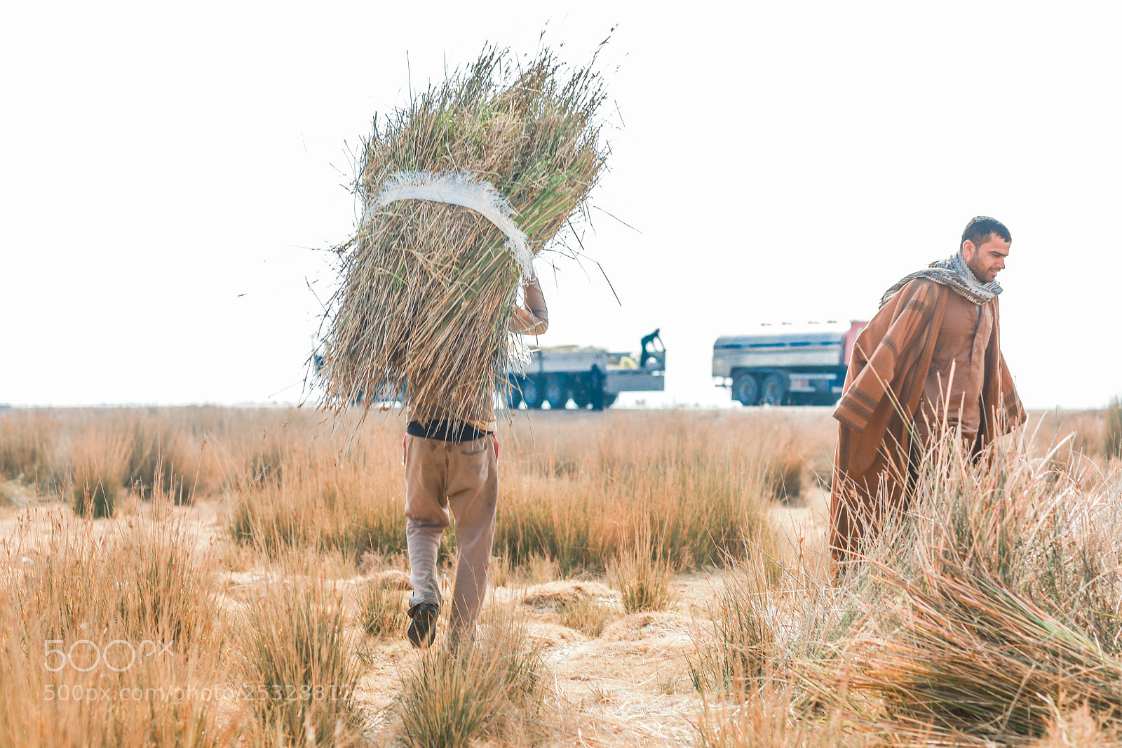 Canon EOS 5D Mark IV sample photo. Farmer carrying bale of photography