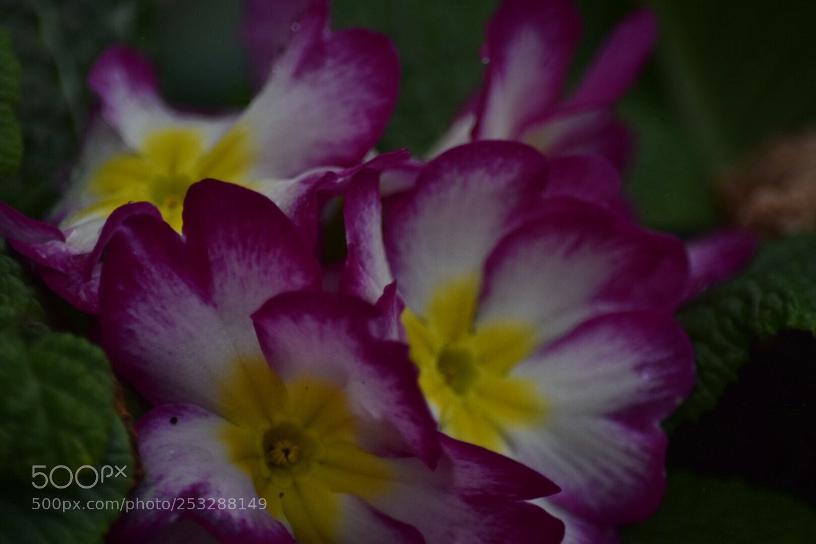Nikon D5300 sample photo. Untitled photography