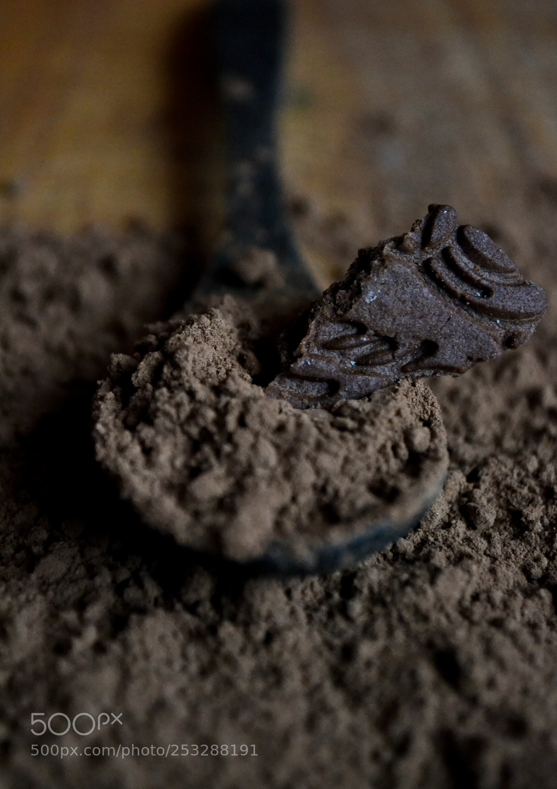 Nikon D3100 sample photo. Cocoa photography