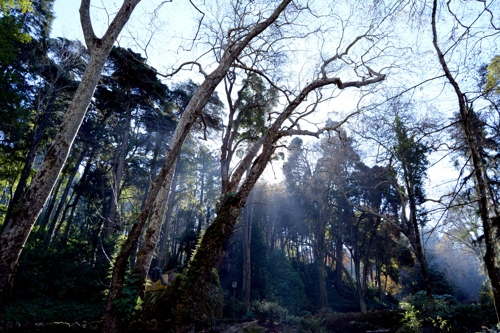 Nikon D5200 + Nikon AF-S DX Nikkor 18-55mm F3.5-5.6G II sample photo. Wet air of sintra photography