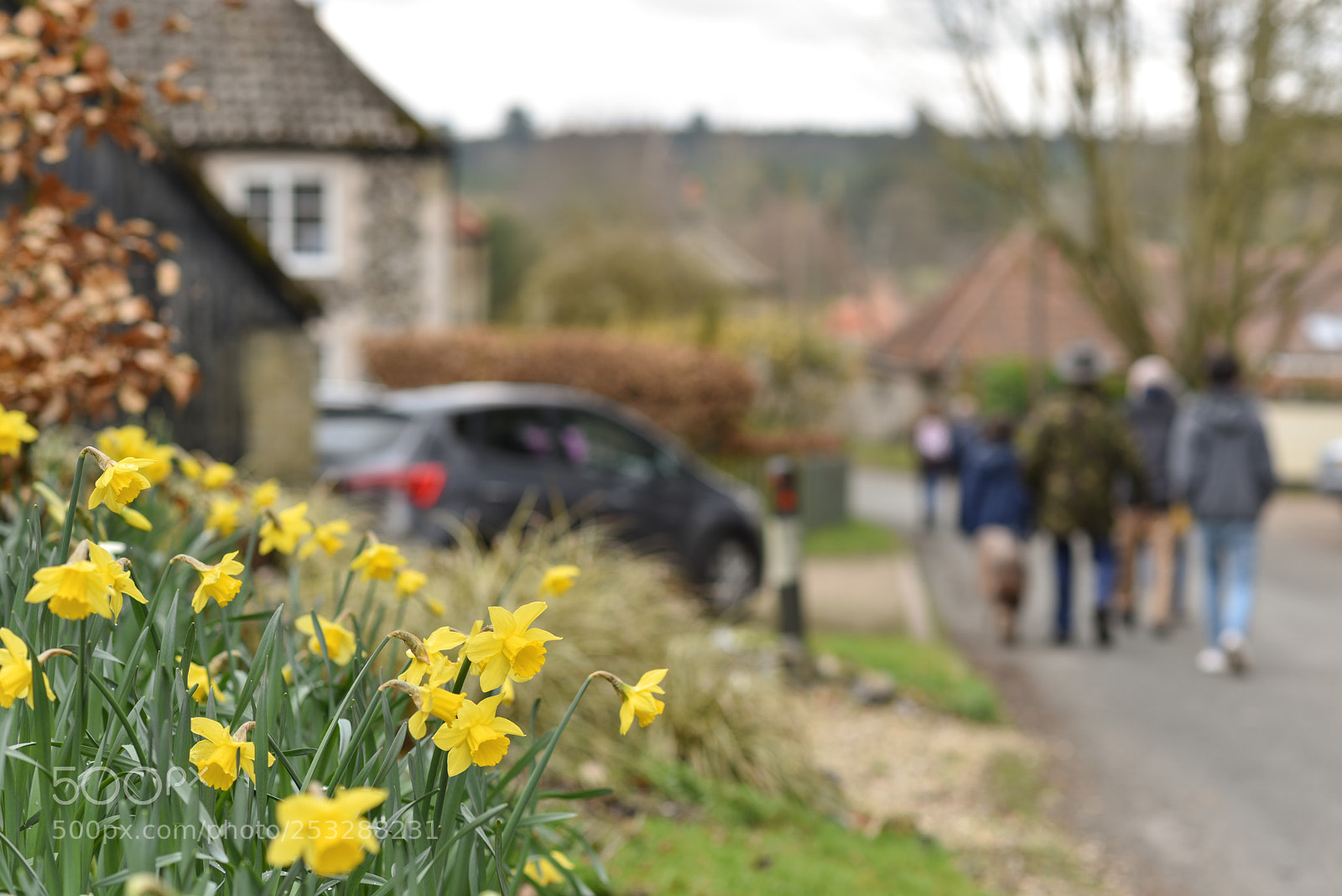 Nikon D810 sample photo. Springtime ramble photography