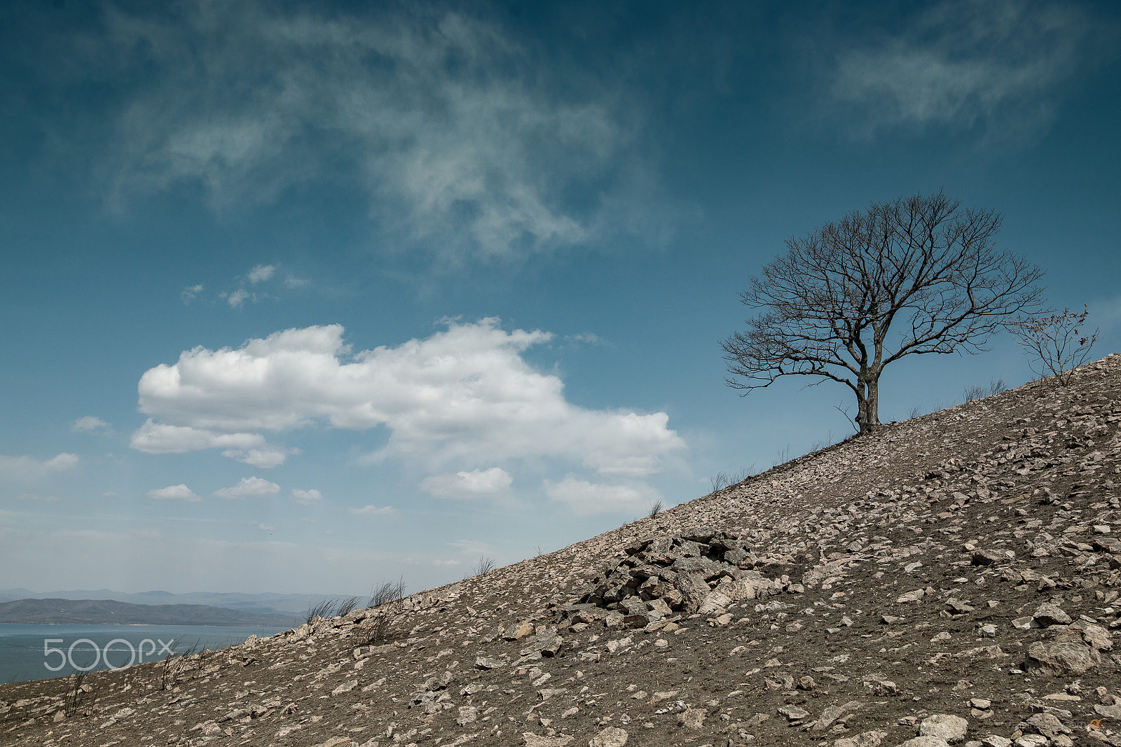 Sony Alpha DSLR-A900 sample photo. Temple and sky photography
