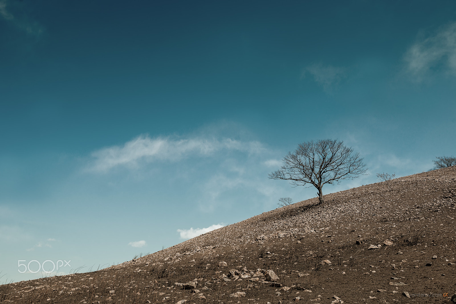 Sony Alpha DSLR-A900 sample photo. Temple and sky photography