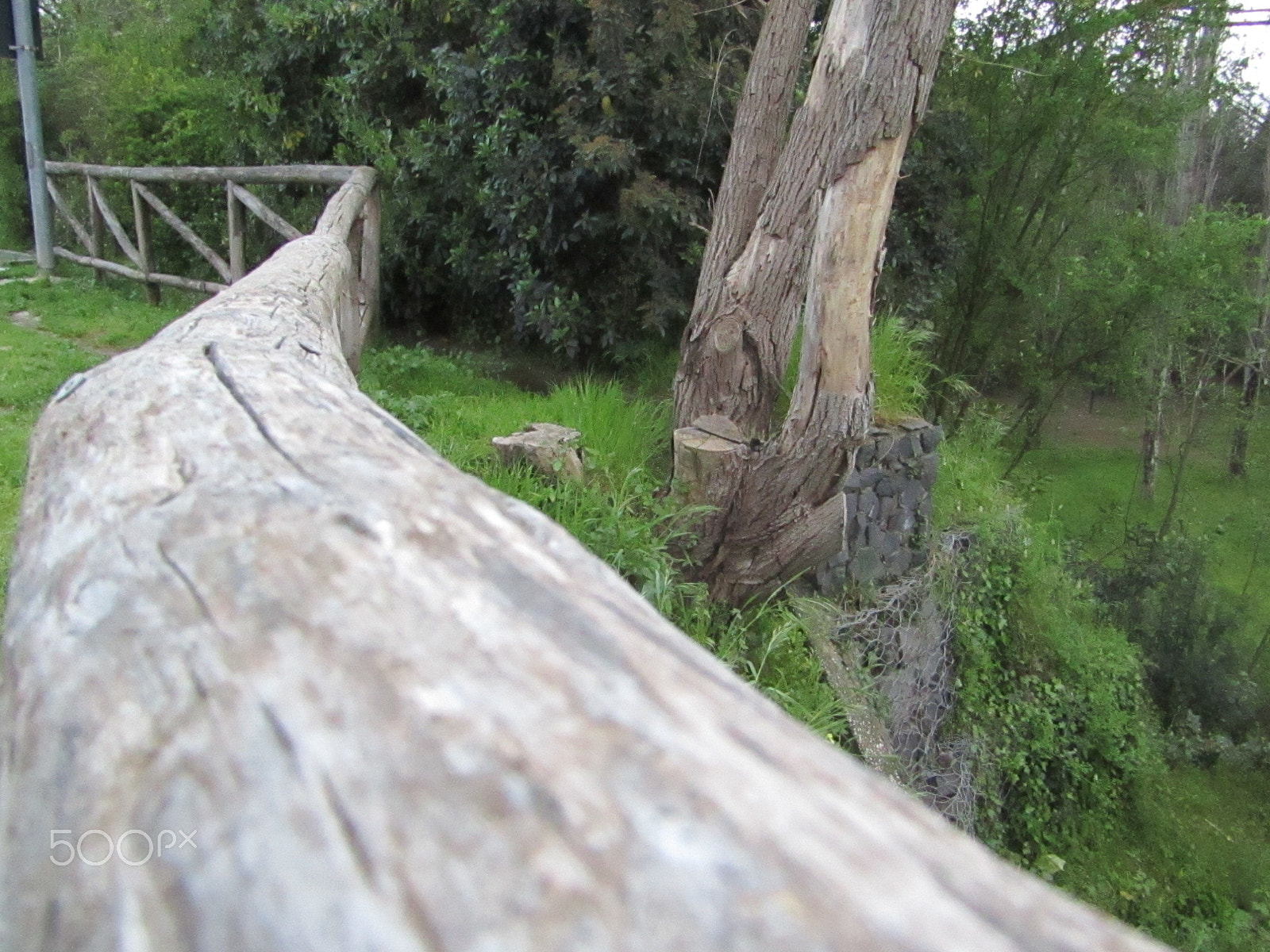 Canon POWERSHOT SX430 IS sample photo. The my best moments photography