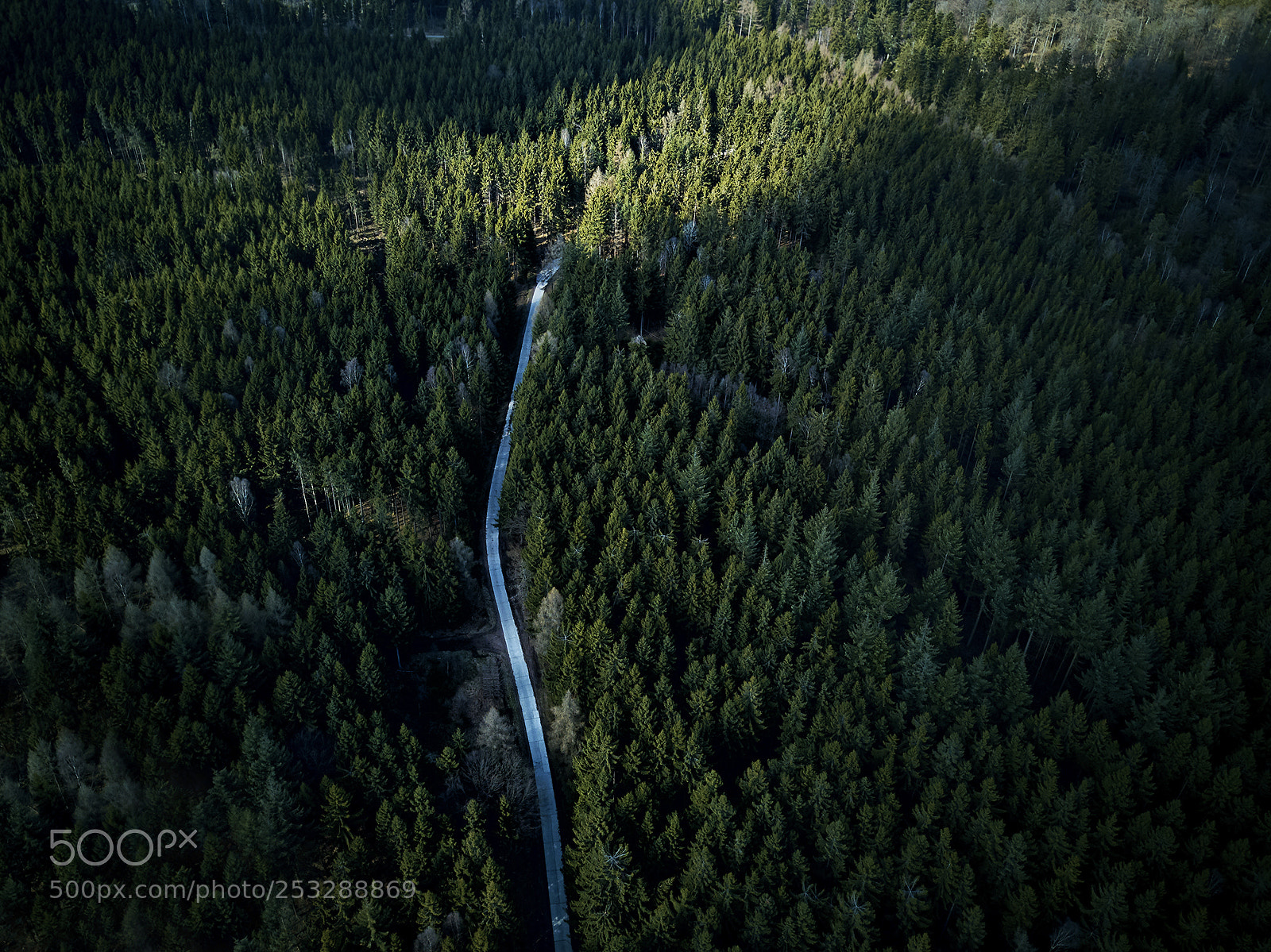 DJI FC220 sample photo. ---lost--- photography
