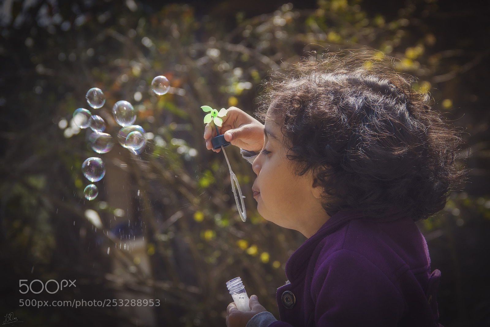 Canon EOS 550D (EOS Rebel T2i / EOS Kiss X4) sample photo. Bubbles!! photography