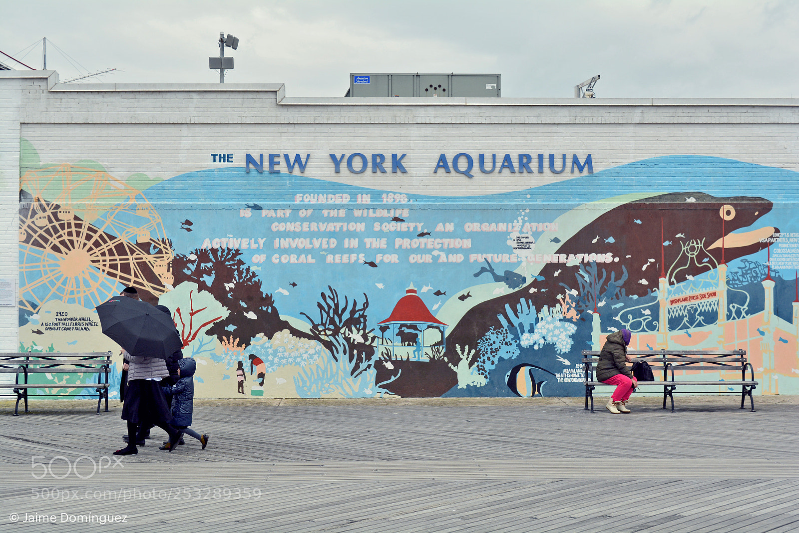 Nikon D5200 sample photo. Coney island photography
