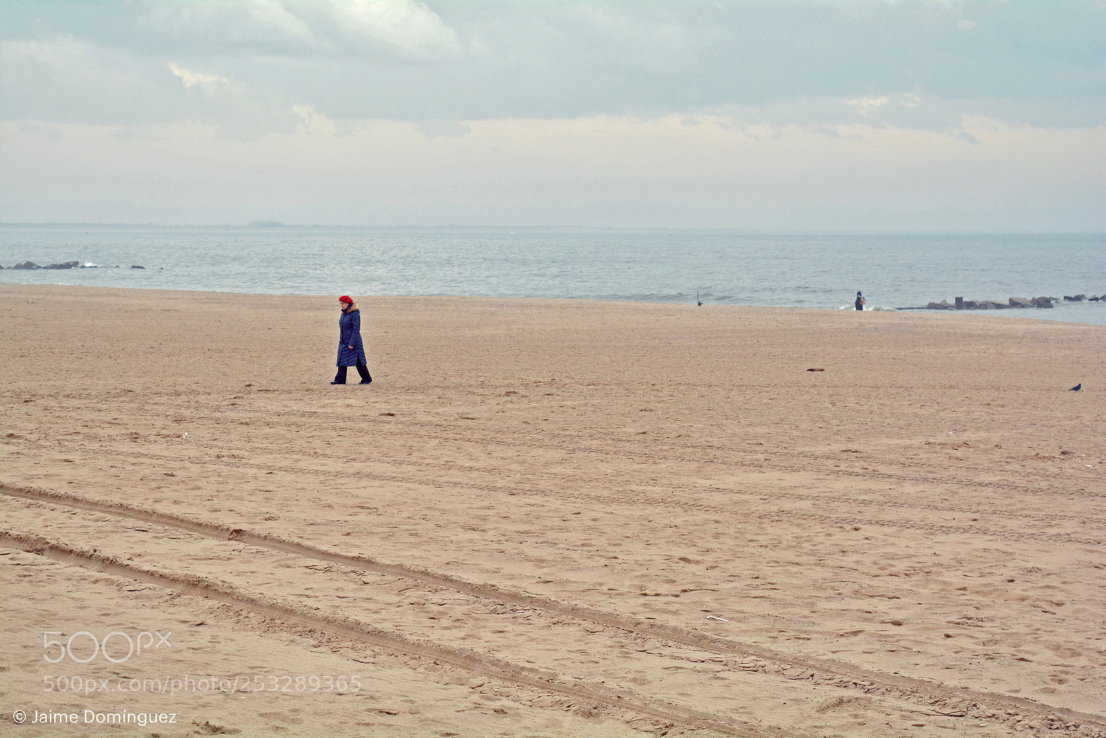 Nikon D5200 sample photo. Coney island photography