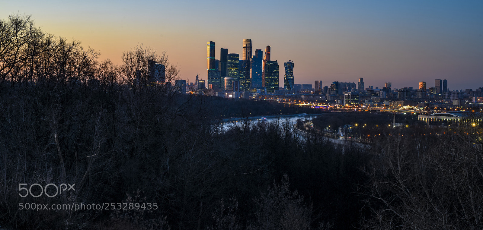 Nikon D810 sample photo. Panorama city photography