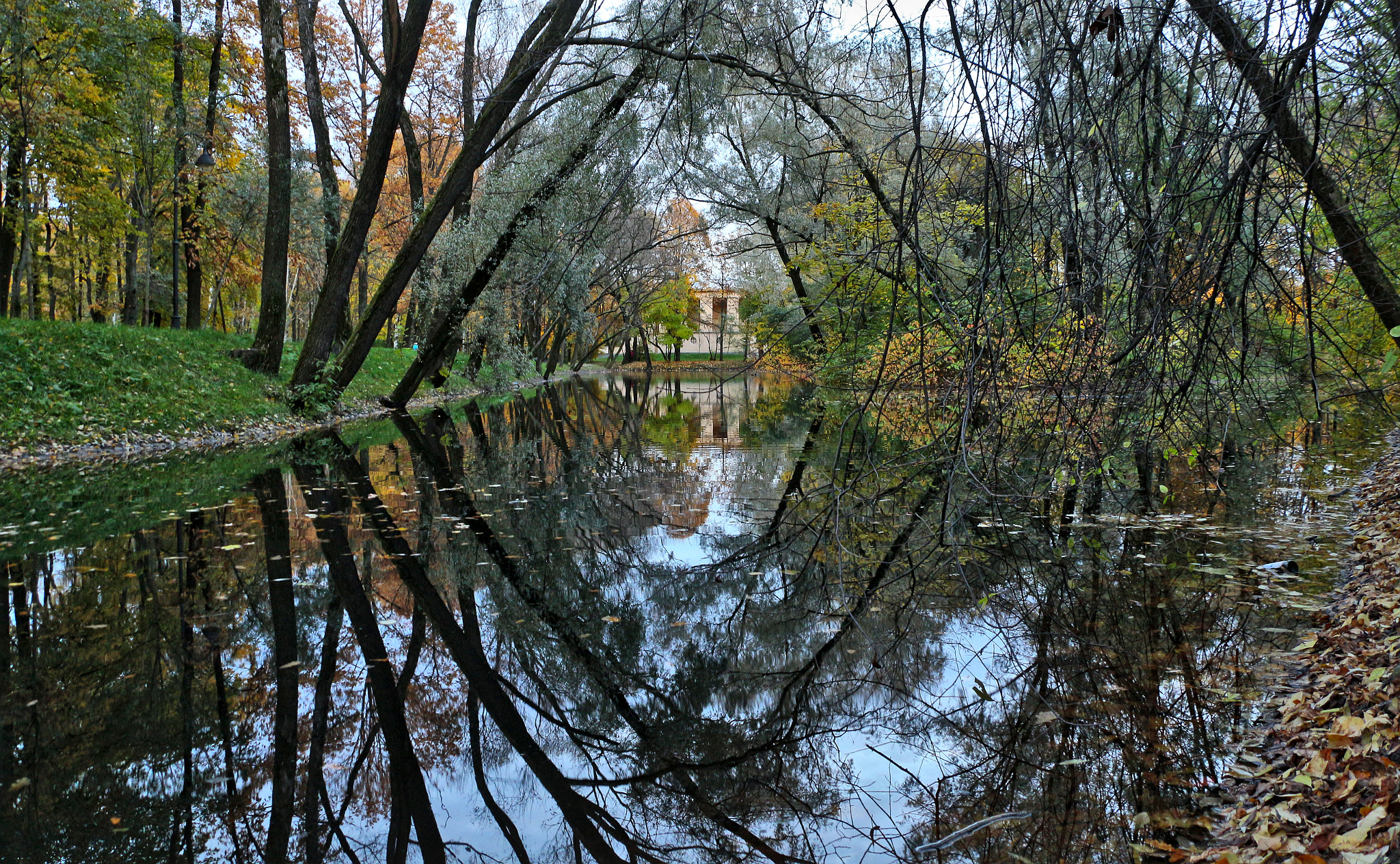Canon EOS 650D (EOS Rebel T4i / EOS Kiss X6i) sample photo. Reflections photography