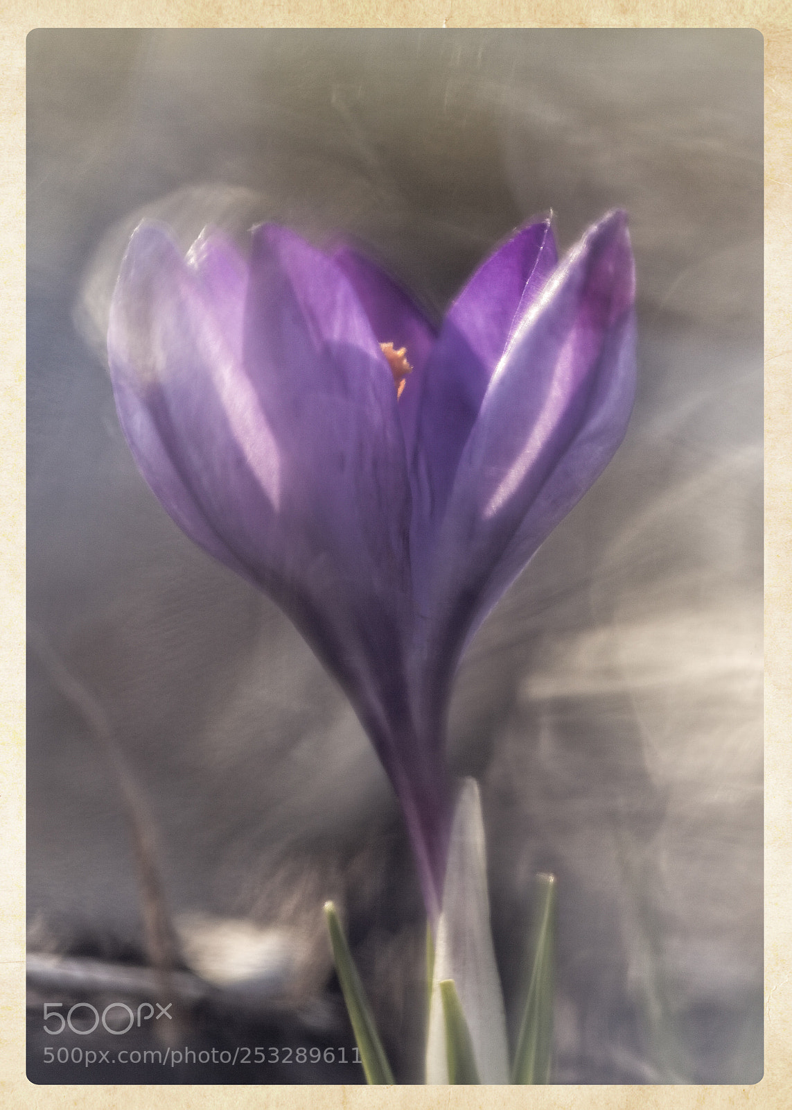 Canon EOS 5D Mark II sample photo. A spring day s photography