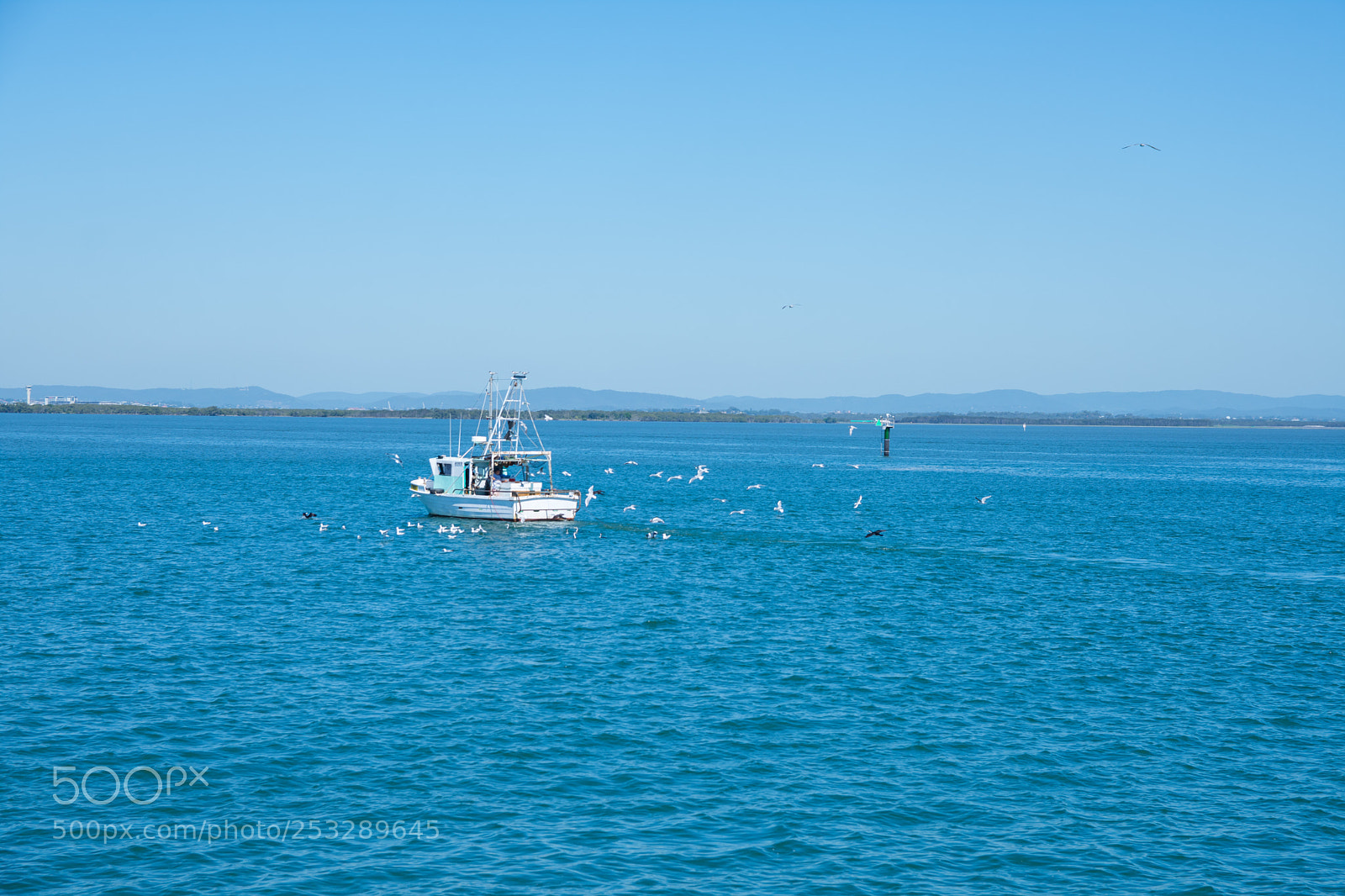 Nikon D7200 sample photo. Untitled photography