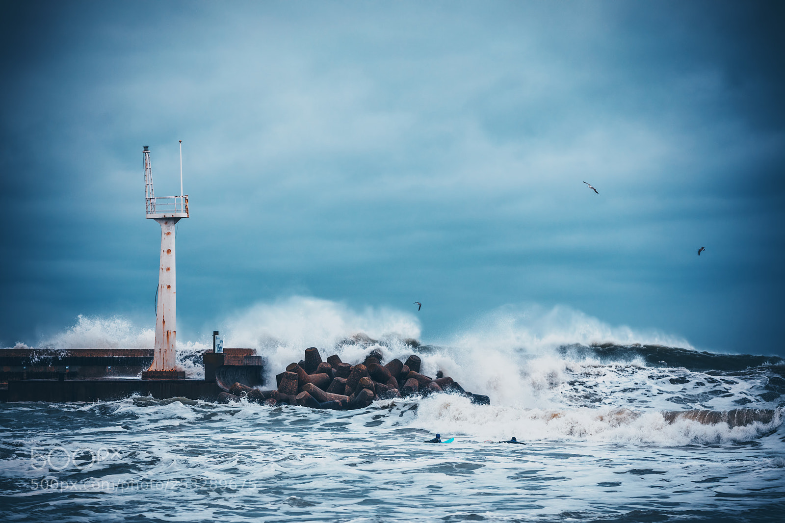 Canon EOS 5D Mark IV sample photo. Surfer catches huge waves photography