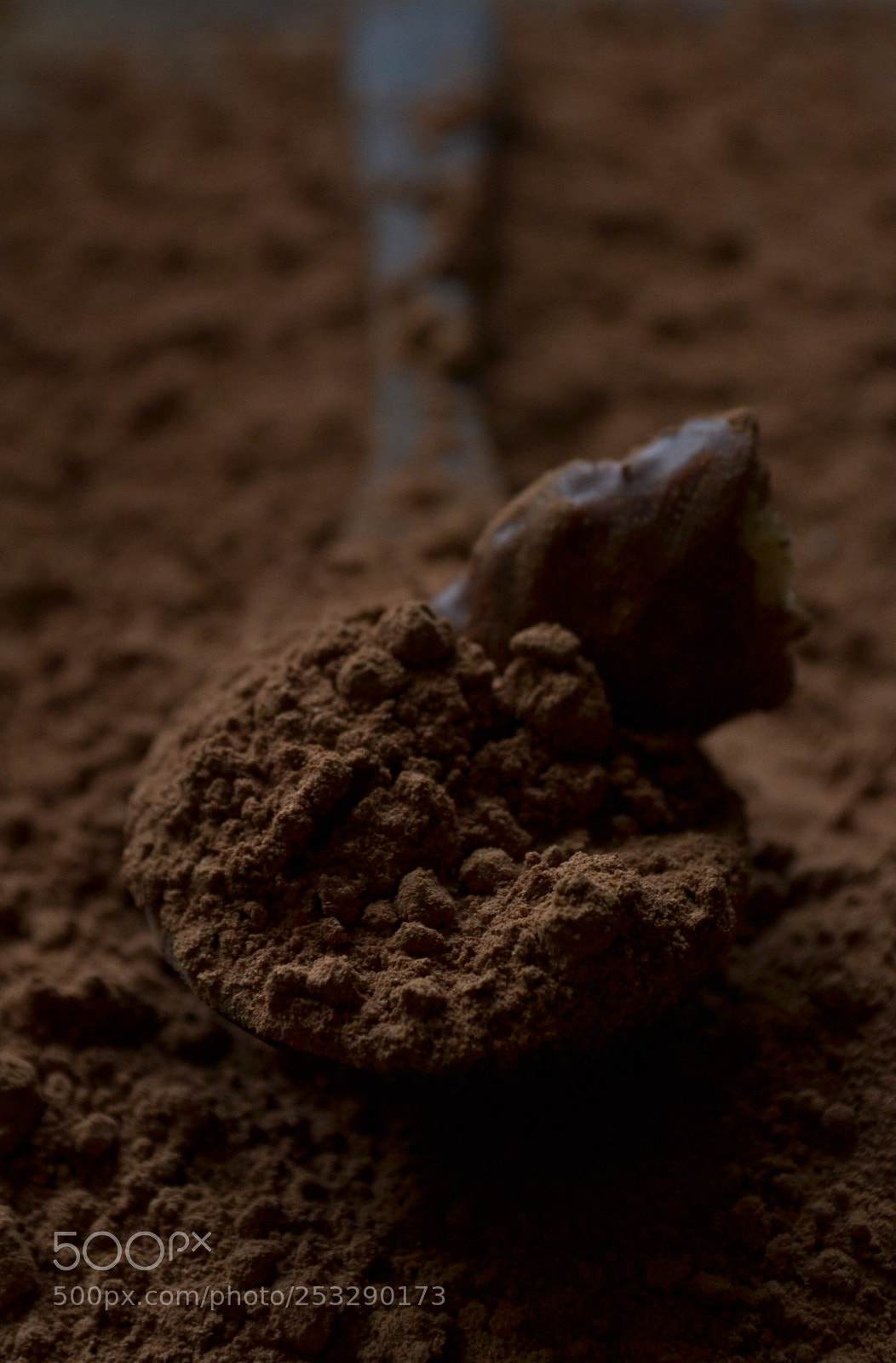 Nikon D3100 sample photo. Cocoa photography