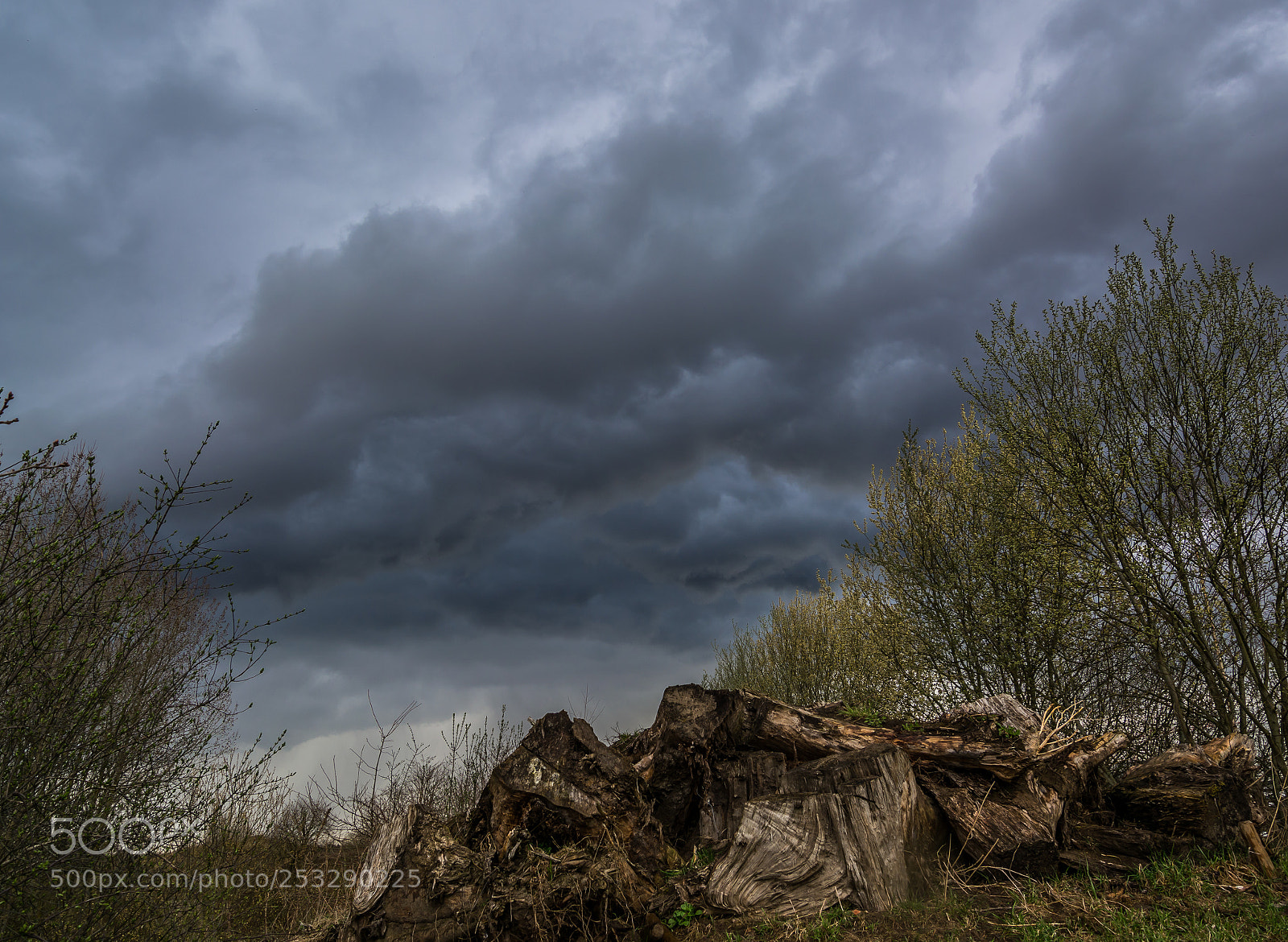 Nikon D5200 sample photo. Armageddon? photography