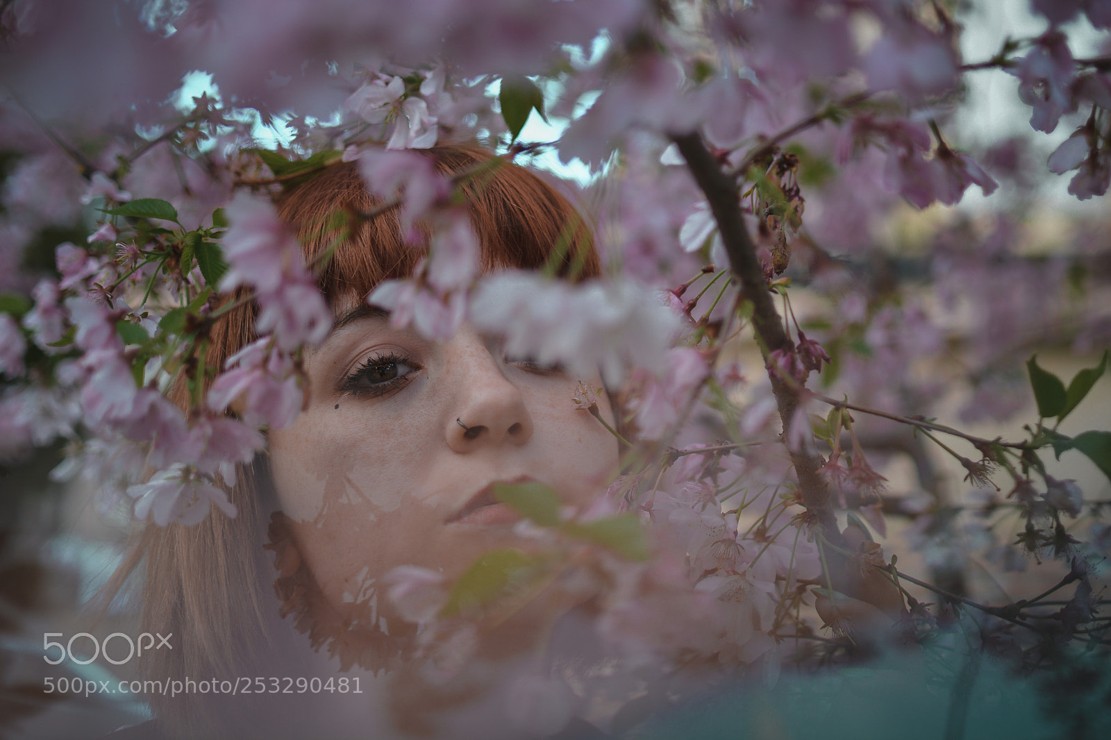 Nikon D7100 sample photo. Spring photography