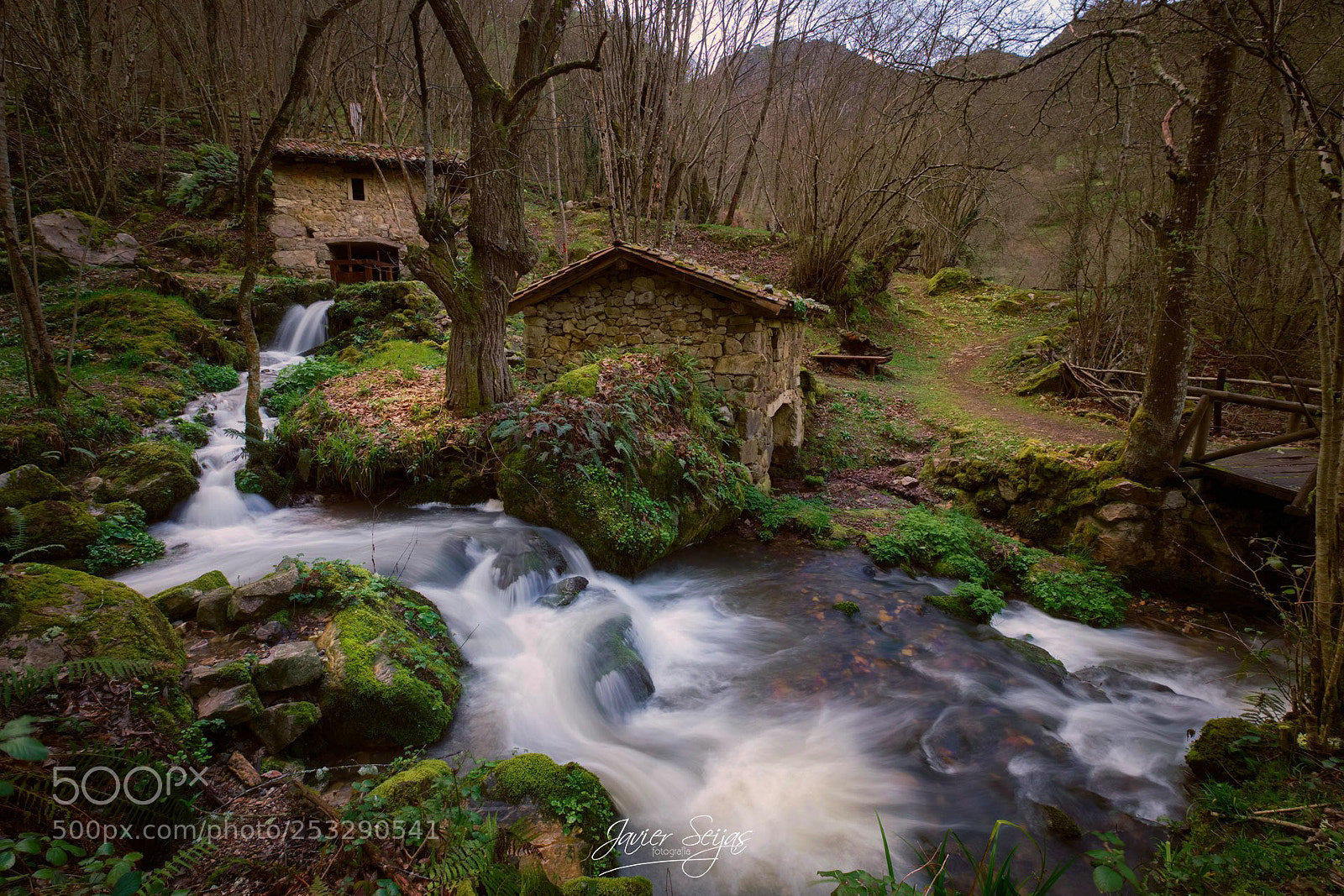 Fujifilm X-T1 sample photo. Sedas de corroriu photography
