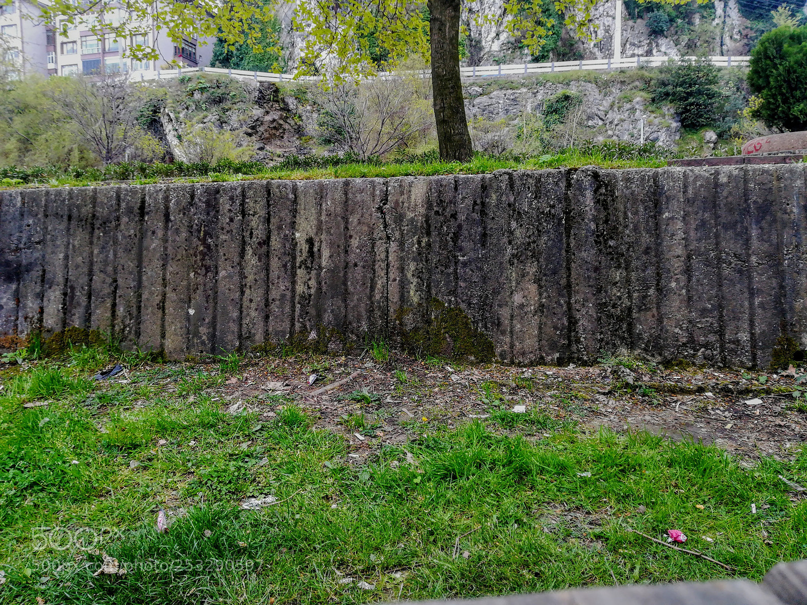HUAWEI PRA-LX1 sample photo. Nature in the city photography