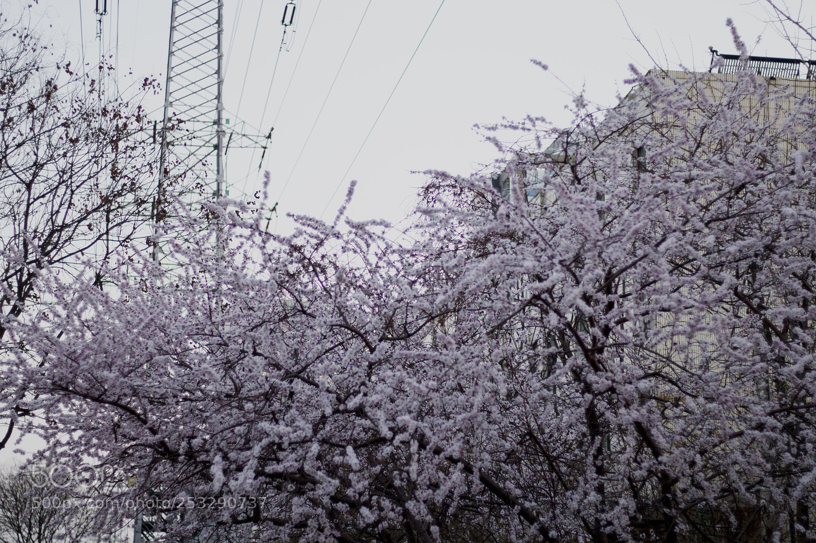 Canon EOS 700D (EOS Rebel T5i / EOS Kiss X7i) sample photo. Img photography