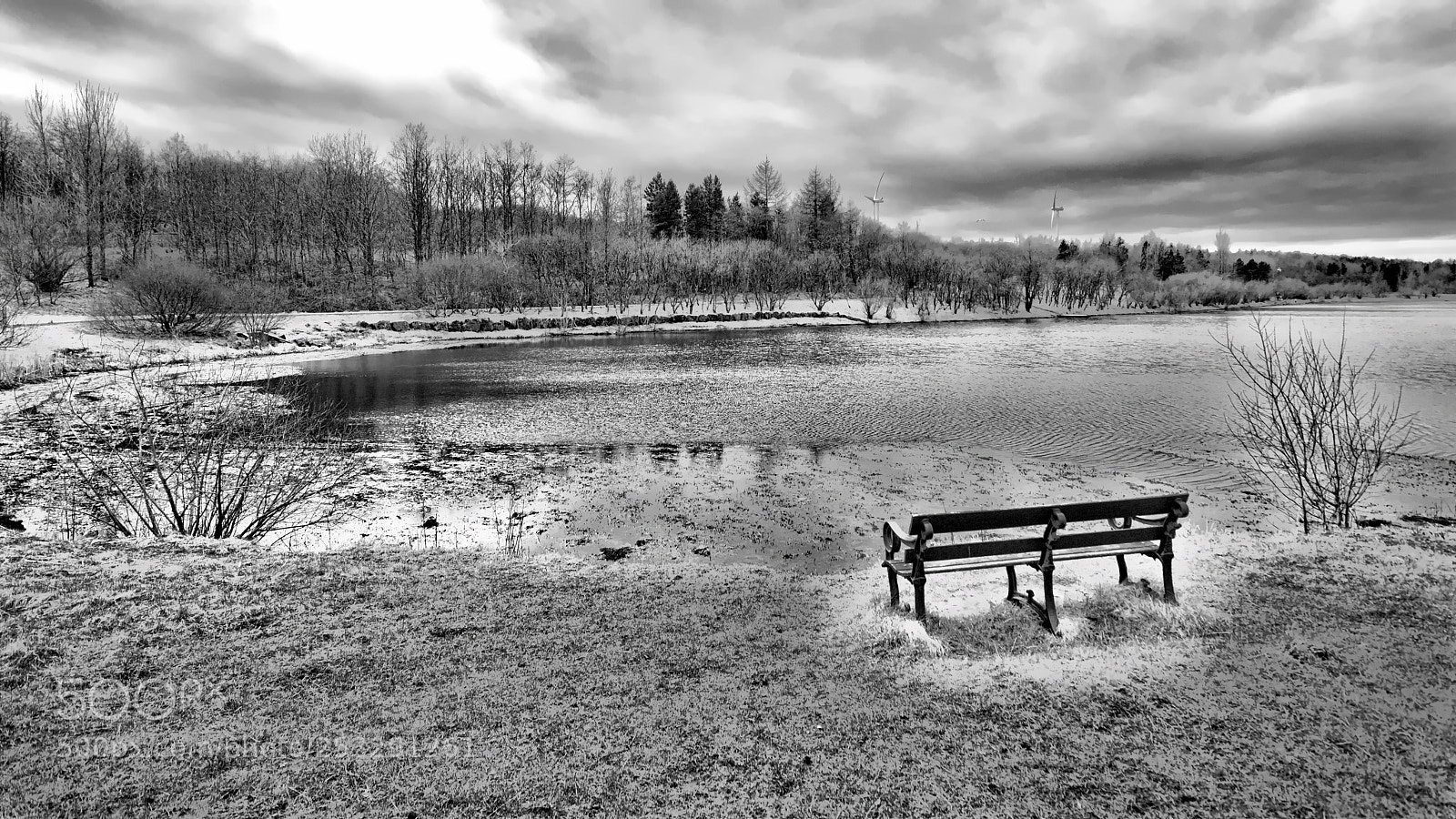 Nikon D2X sample photo. Lake view -- bryn photography