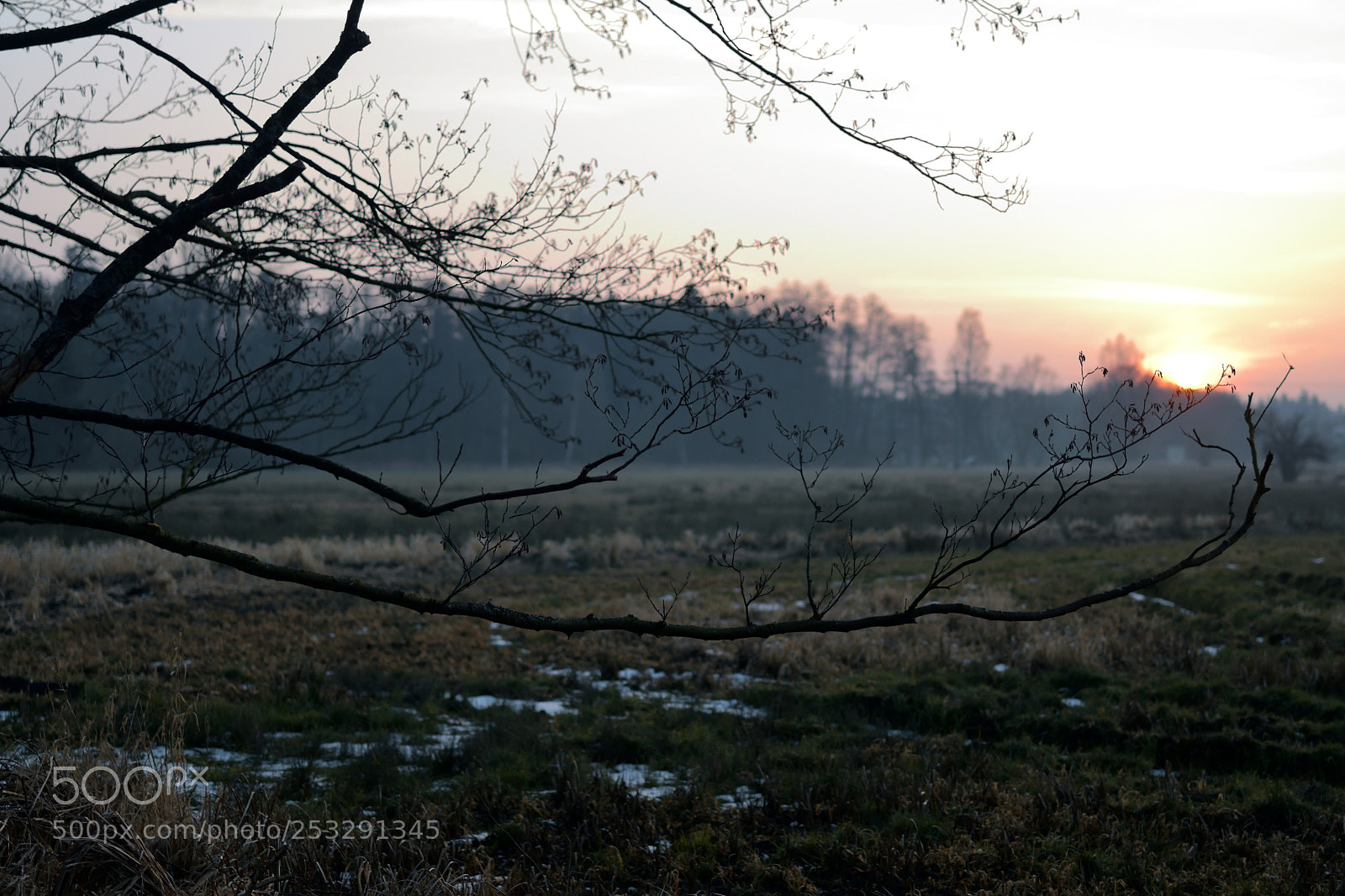 Nikon D7500 sample photo. Delicate photography