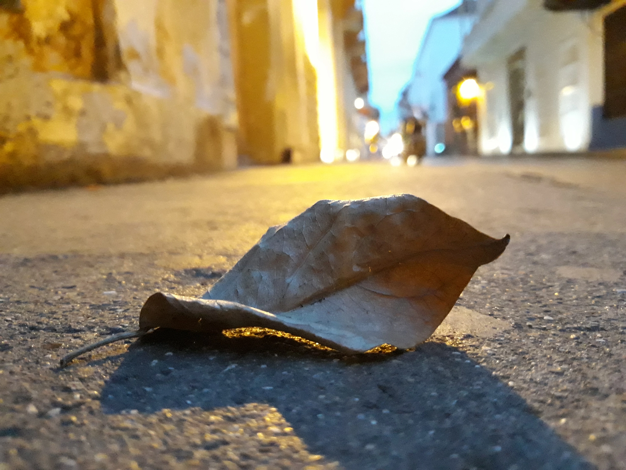 Samsung Galaxy J5 Pro sample photo