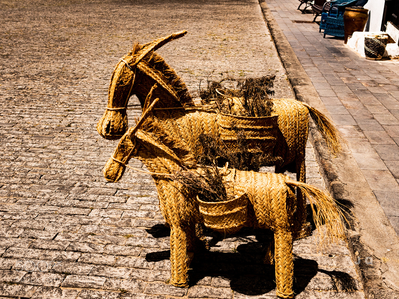Panasonic Lumix DC-G9 sample photo. Two little donkeys photography