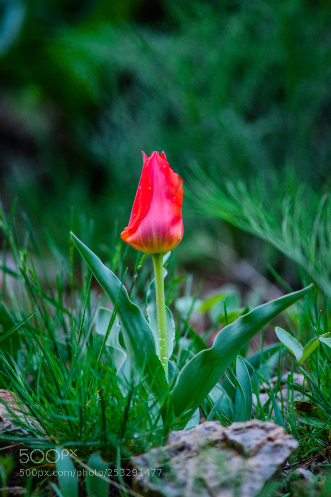 Nikon D810 sample photo. The karatau mountains photography