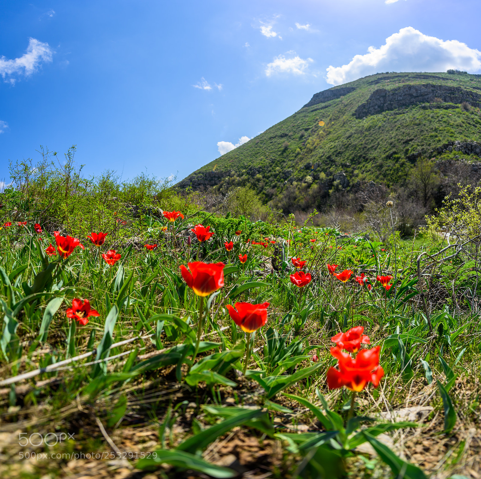 Nikon D810 sample photo. The karatau mountains photography
