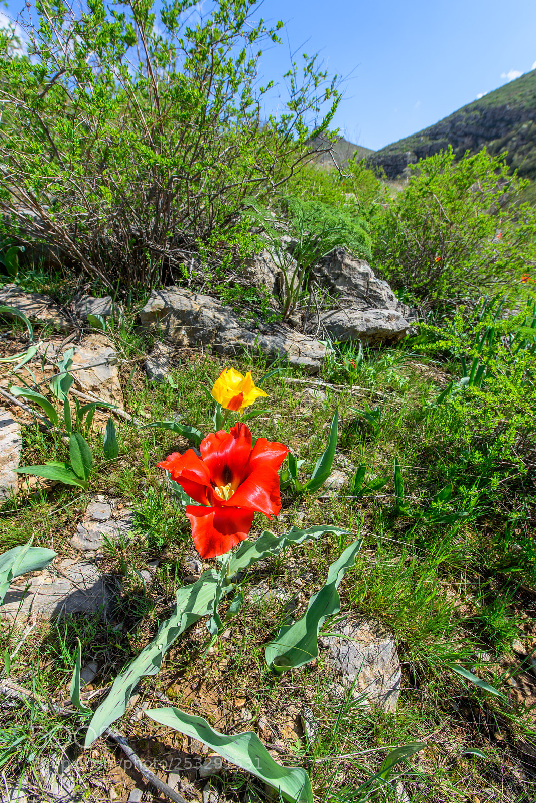 Nikon D810 sample photo. The karatau mountains photography