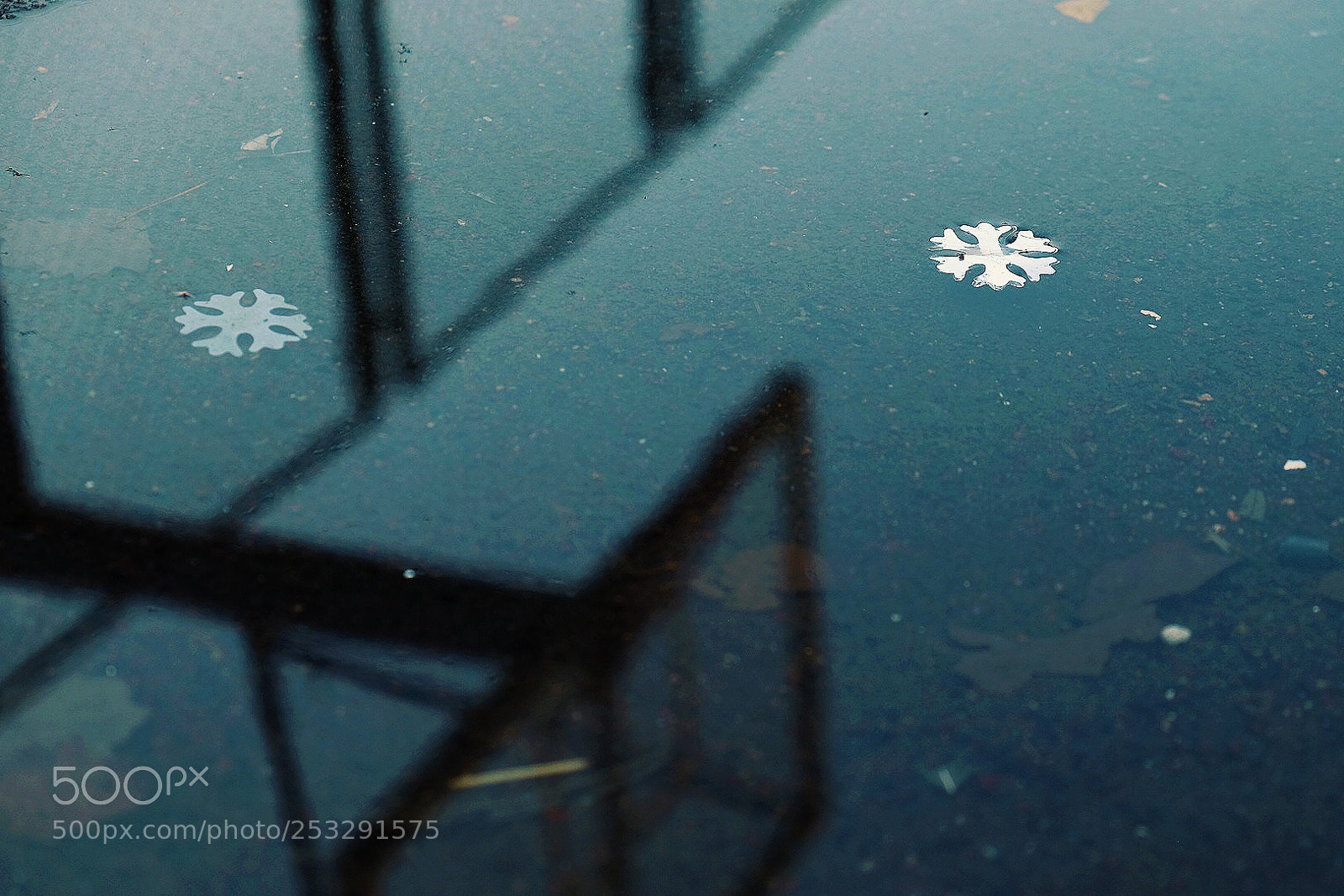 Fujifilm X-T1 sample photo. Snowflake photography