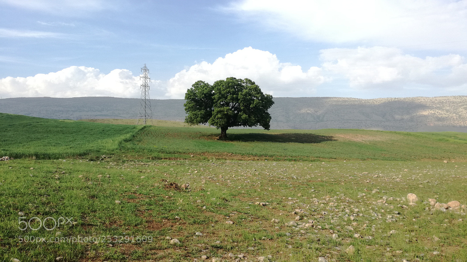 HUAWEI P9 LITE sample photo. Stay alone photography